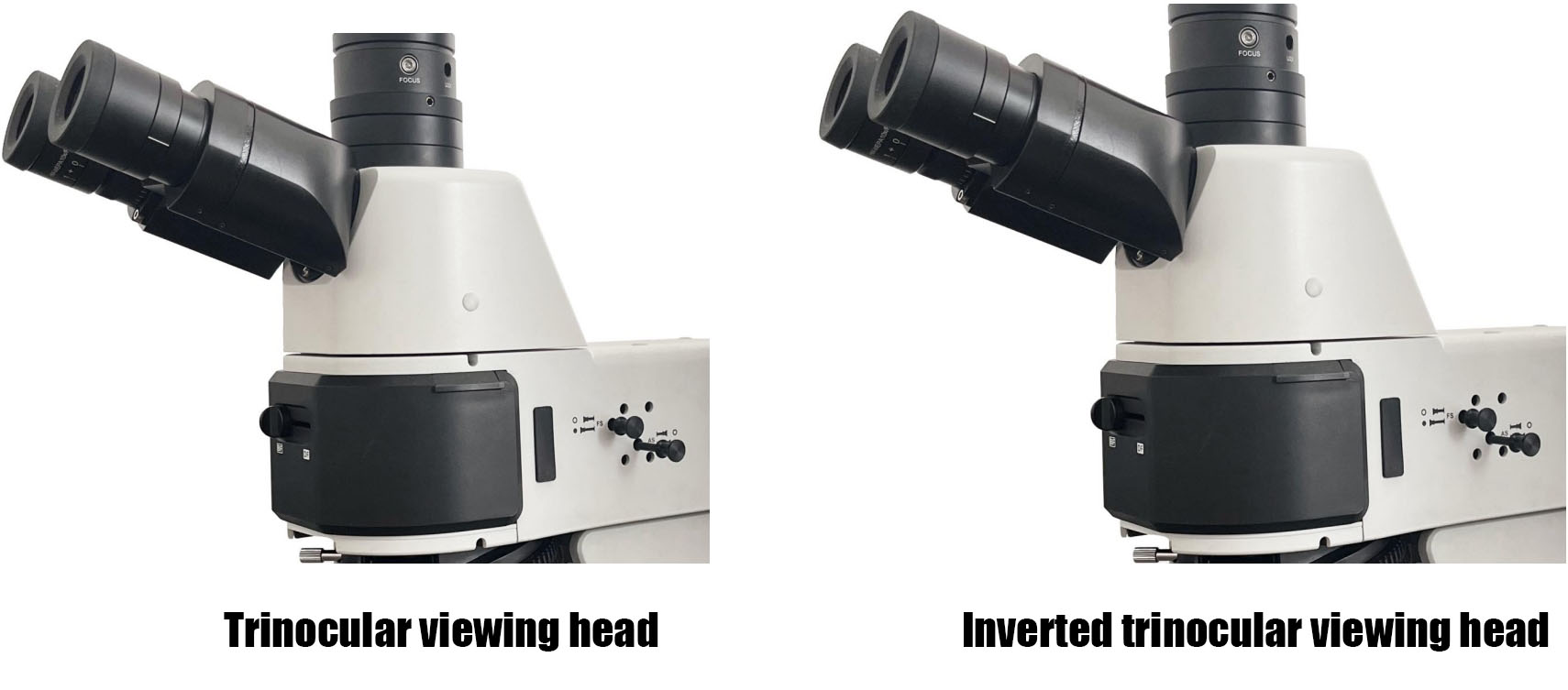 Microscópio metalográfico eletrônico