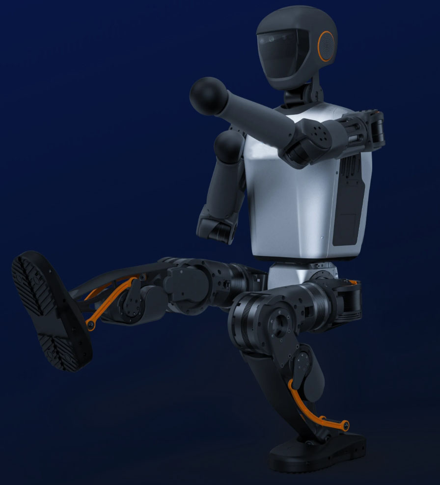 china humanoid robot