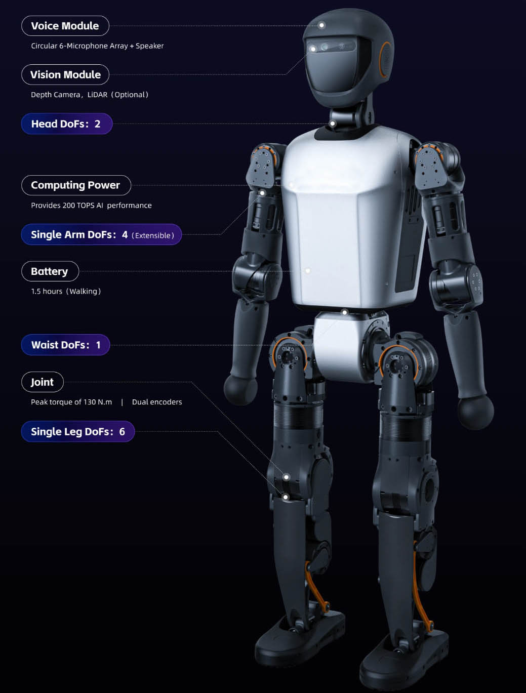 china humanoid robot