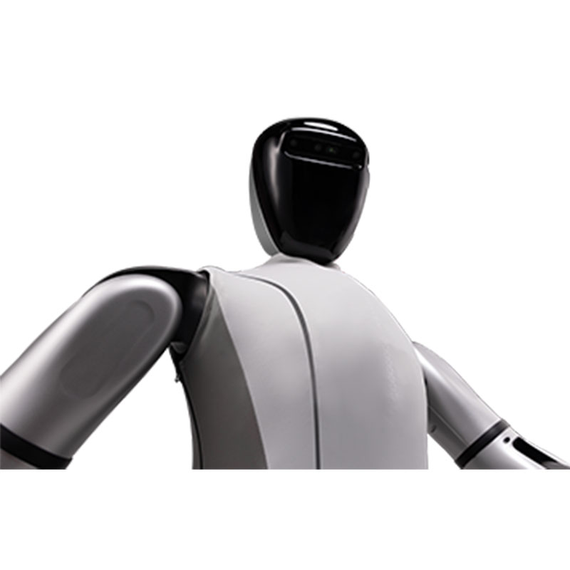 AGI Humanoid Robot 