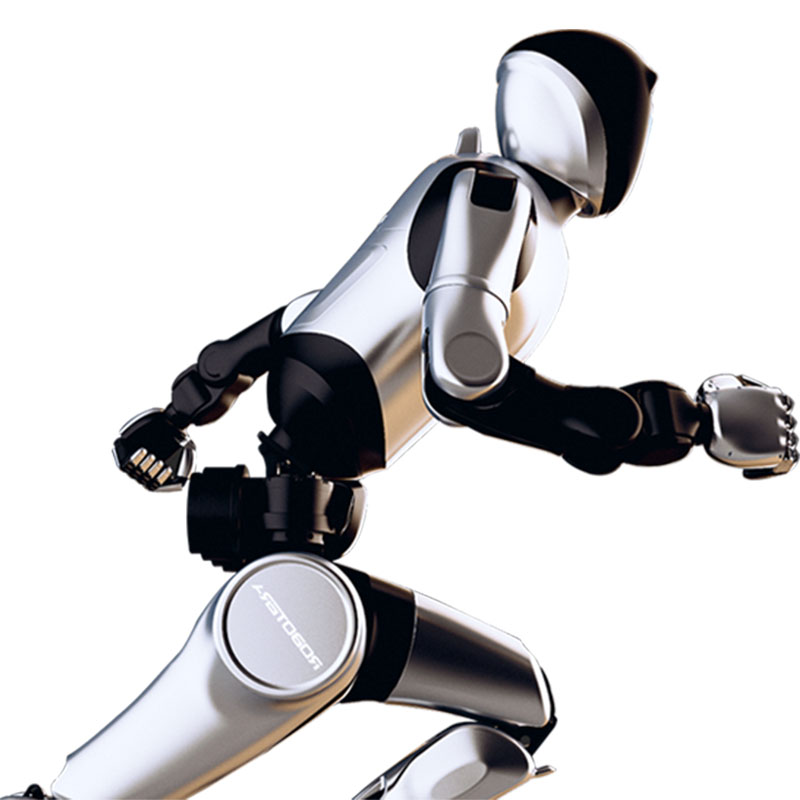 AGI Humanoid Robot 