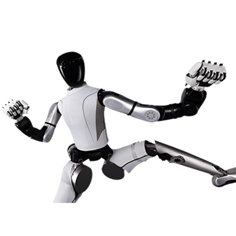 AGI Humanoid Robot 