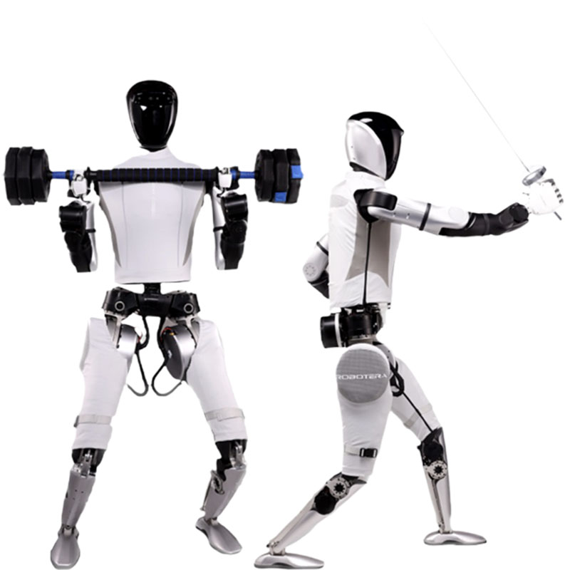 AGI Humanoid Robot 