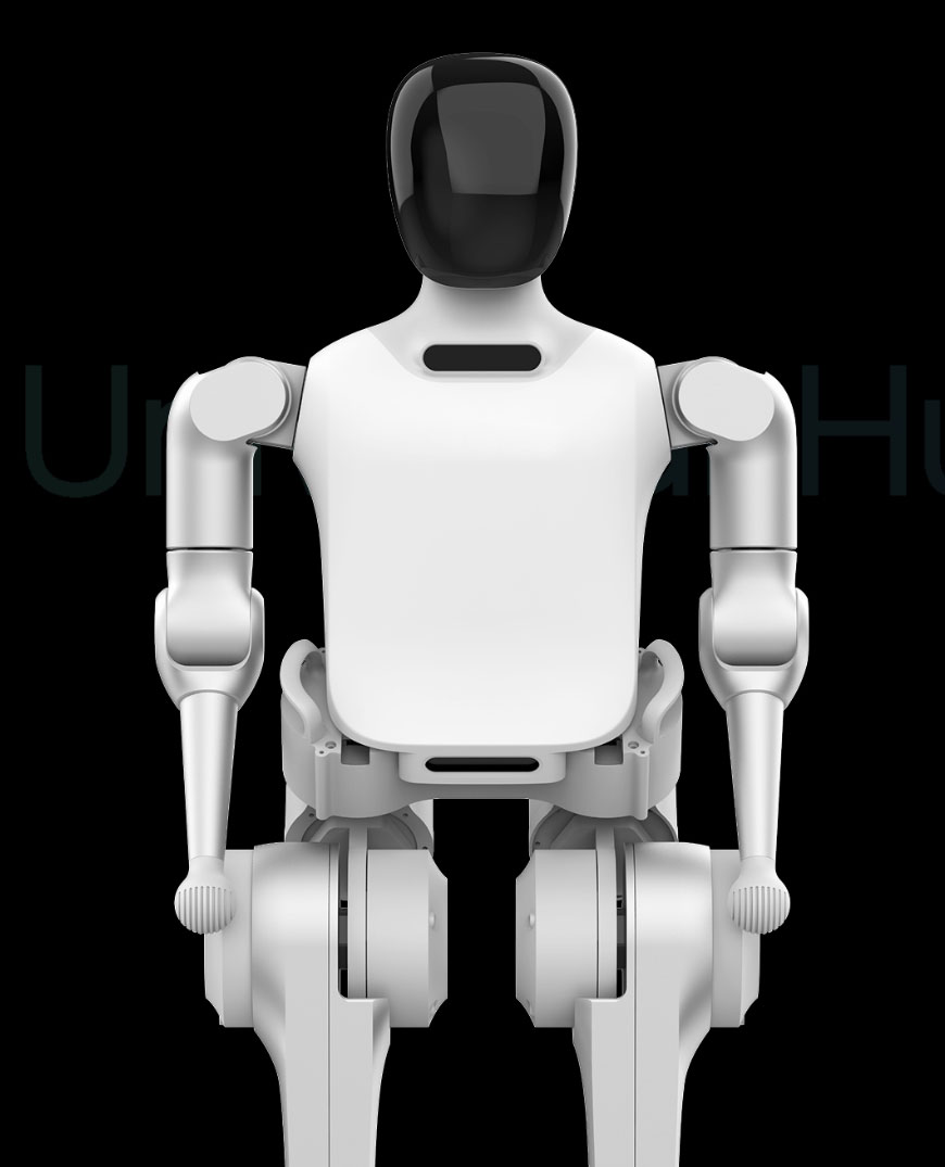 humanoid robot cost