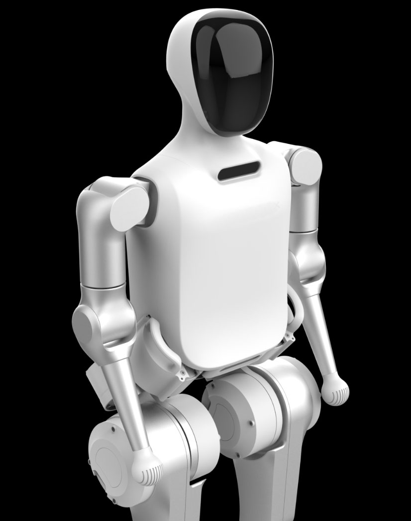 humanoid robot cost