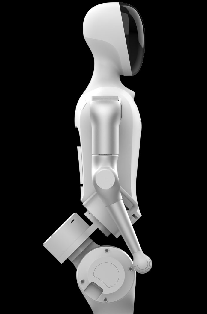 humanoid robot cost