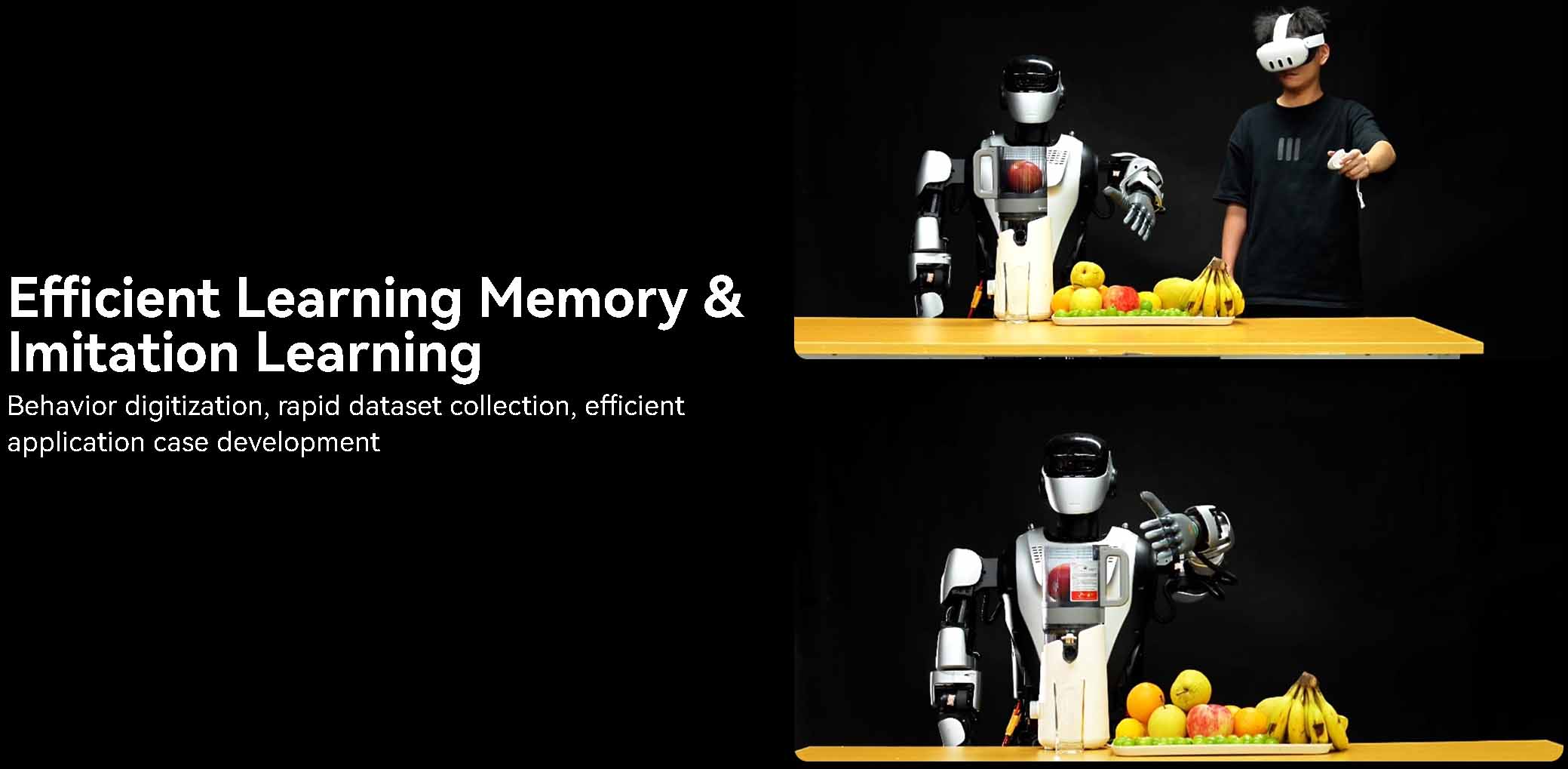 AGI Humanoid Robot 