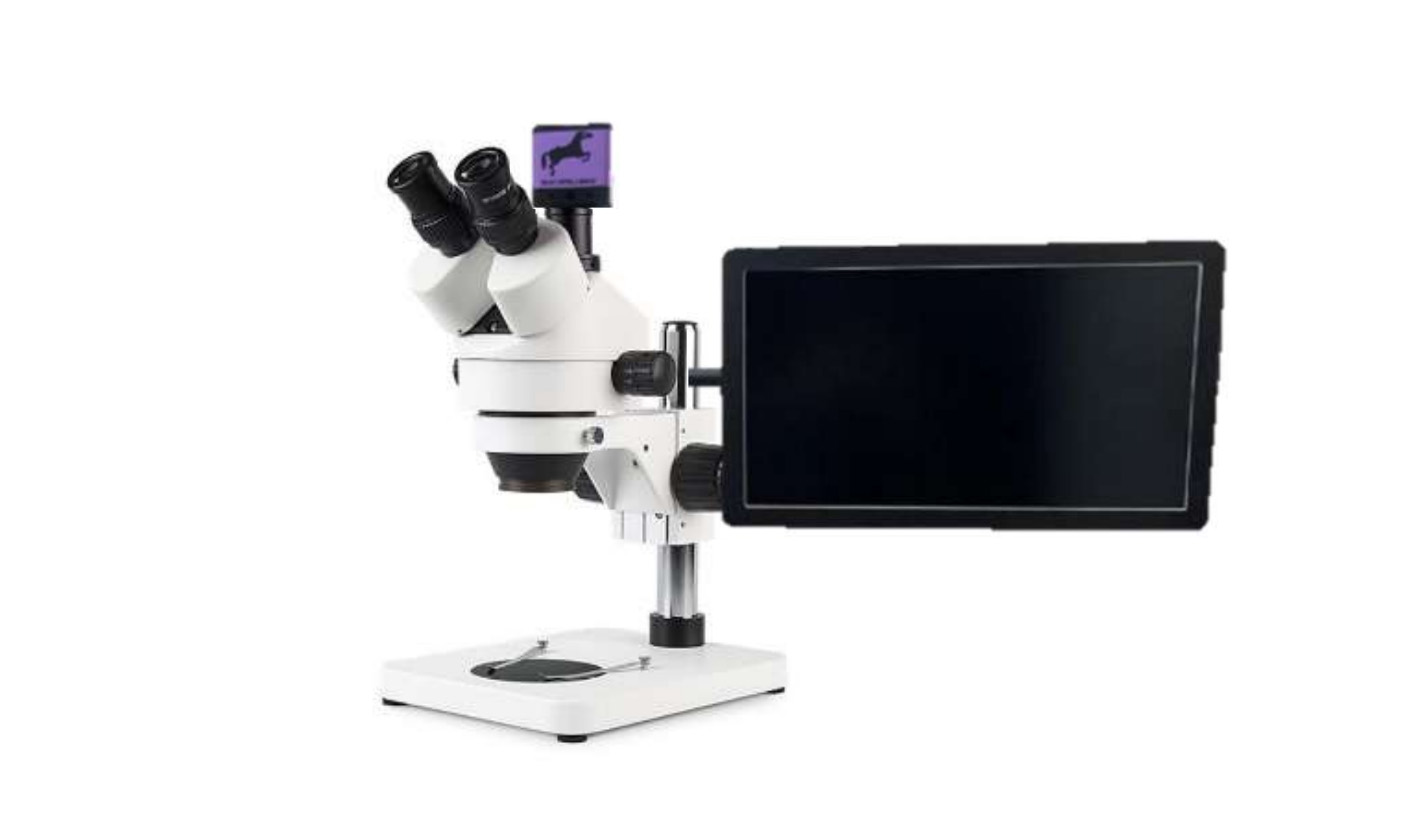 3 lenses of microscope