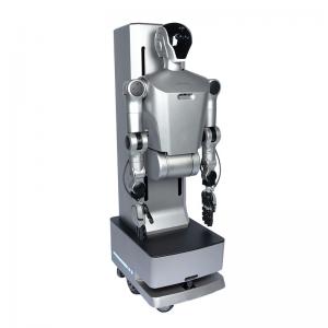 China top of Wheeled Humanoid Robot