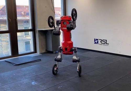 O robô de pernas quadrúpedes desenvolvido pela Swiss-Mile pode ficar em pé, rolar e entregar de forma autônoma