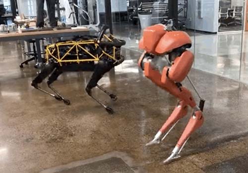 Chocado! O robô bípede Cassie quebra o recorde mundial do Guinness para 100 metros em 24,73 segundos
