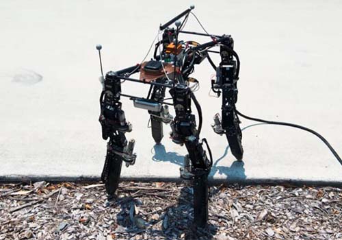 A evolução dos robôs quadrados é apenas para se adaptar ao complexo terreno